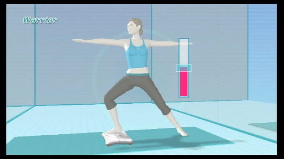 Wii Fit - Captura 5