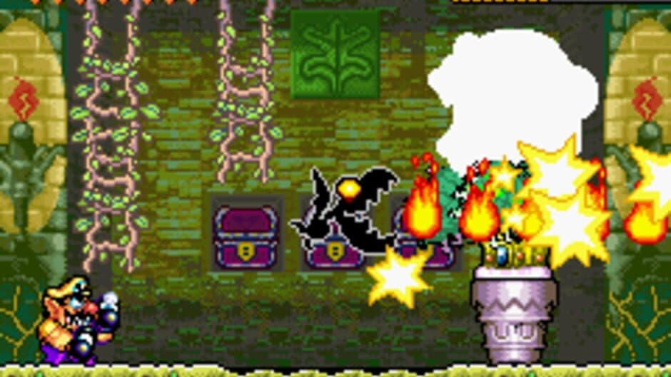 Wario Land 4 - Captura 7