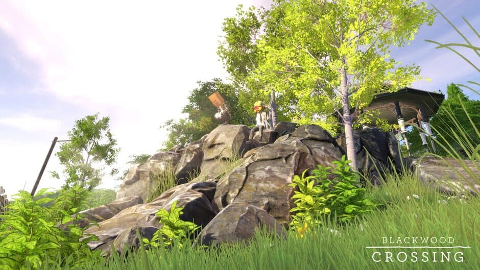 Blackwood Crossing - Captura 6