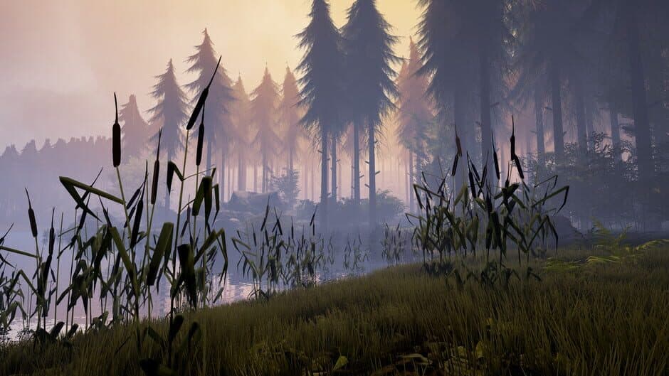 Bigfoot - Captura 5