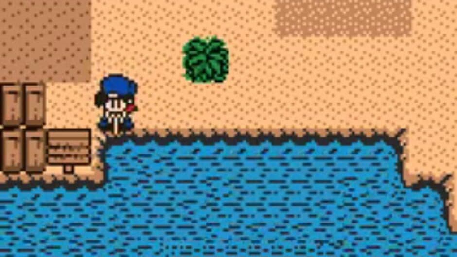 Harvest Moon 2 GBC - Captura 5