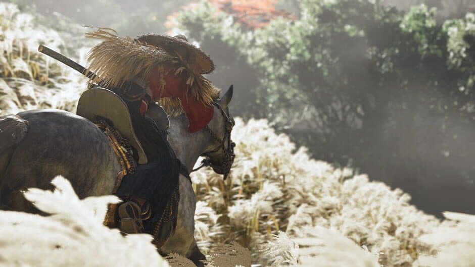 Ghost of Tsushima - Captura 12