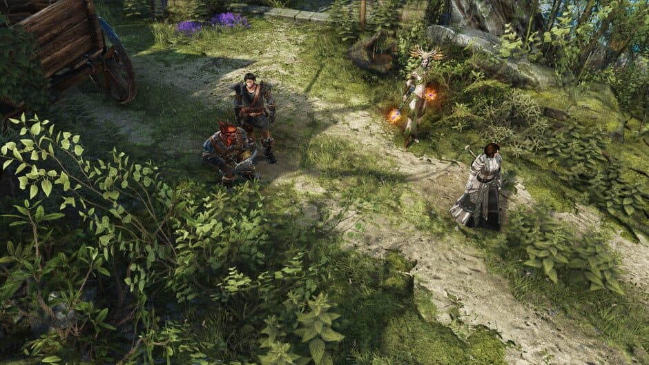 Divinity: Original Sin II - Captura 6