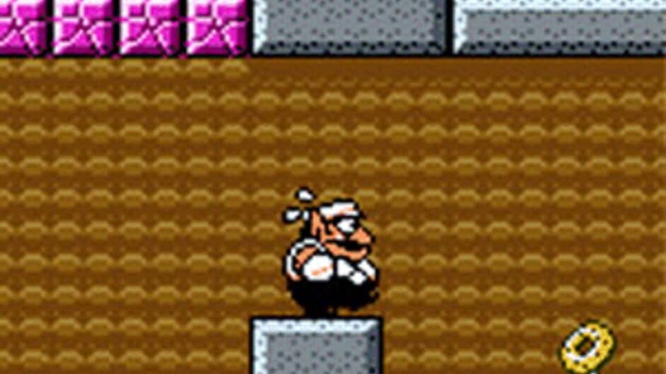 Wario Land 3 - Captura 4