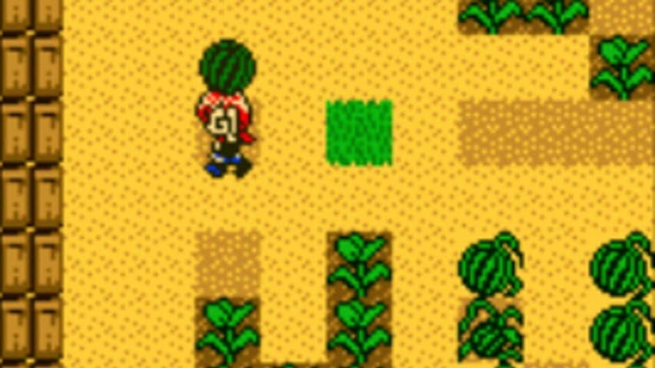Harvest Moon 2 GBC - Captura 0