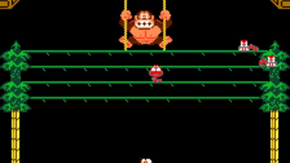Donkey Kong 3 - Captura 7