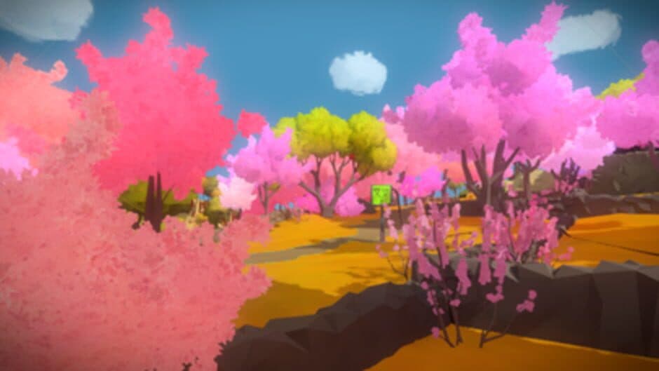 The Witness - Captura 8