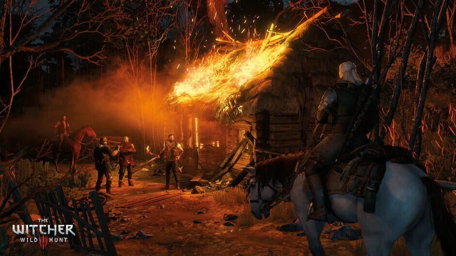 The Witcher 3: Wild Hunt - Captura 24