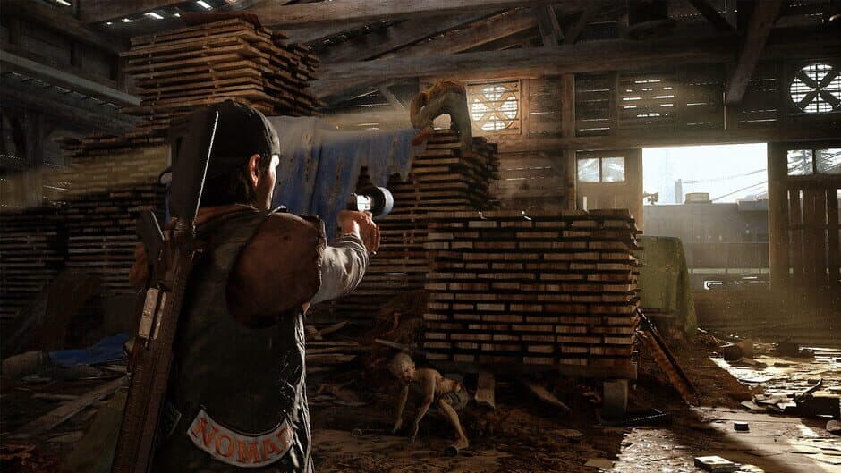 Days Gone - Captura 9