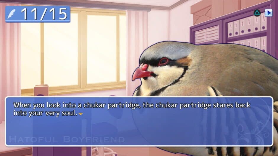 Hatoful Boyfriend - Captura 4