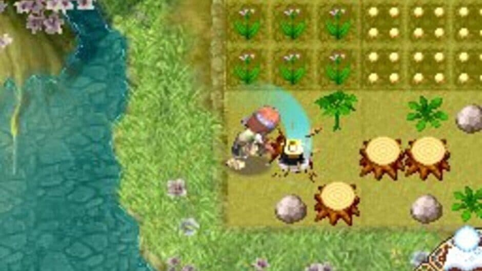 Rune Factory 2: A Fantasy Harvest Moon - Captura 7