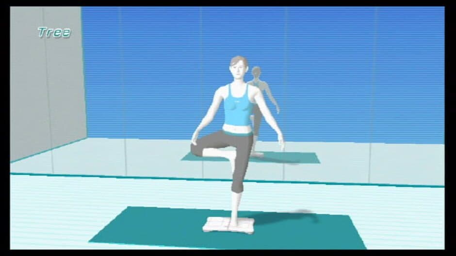 Wii Fit - Captura 11