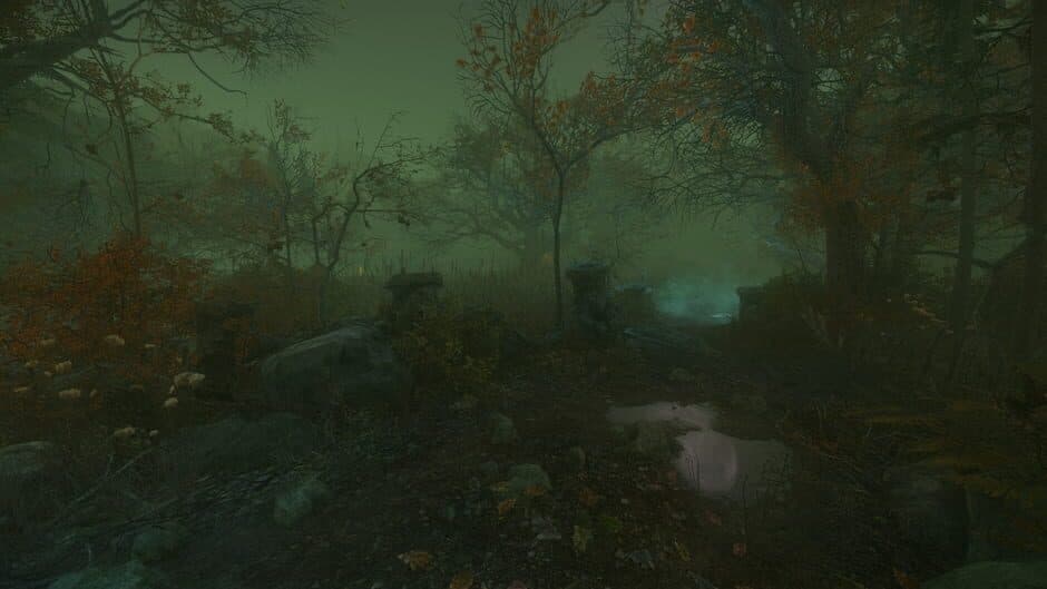 The Cursed Forest - Captura 1