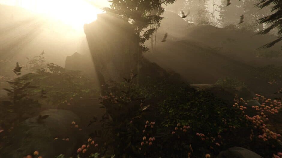 The Forest - Captura 4