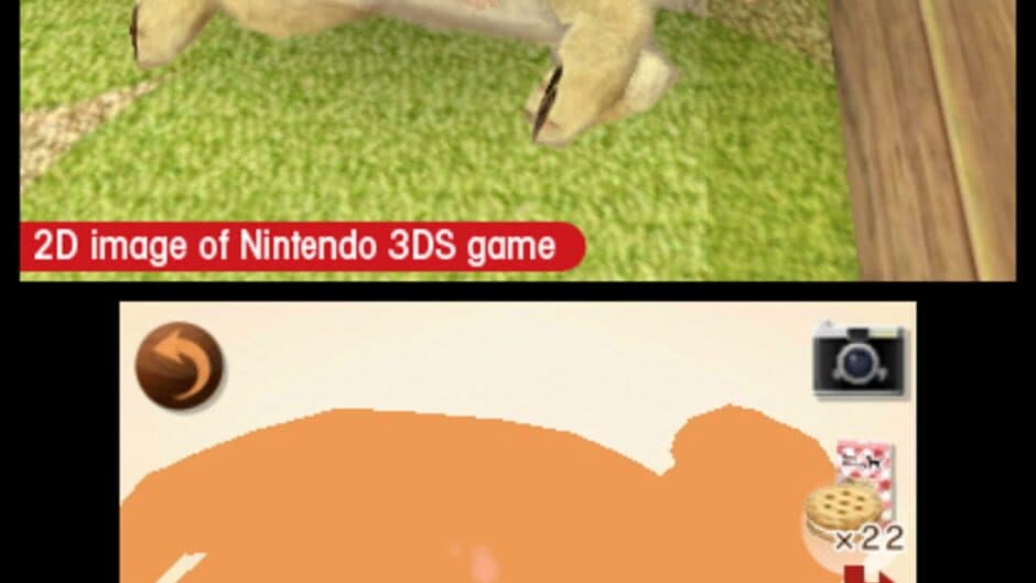 Nintendogs + Cats: French Bulldog & New Friends - Captura 7