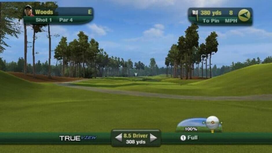 Tiger Woods PGA Tour 11 - Captura 9