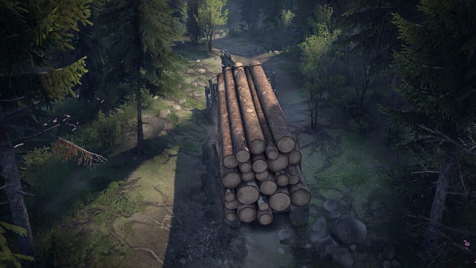 Spintires - Captura 3