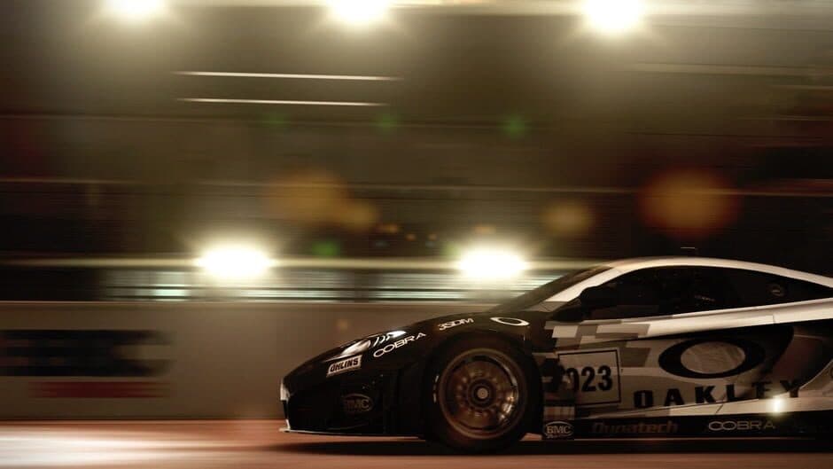 Grid: Autosport - Captura 6