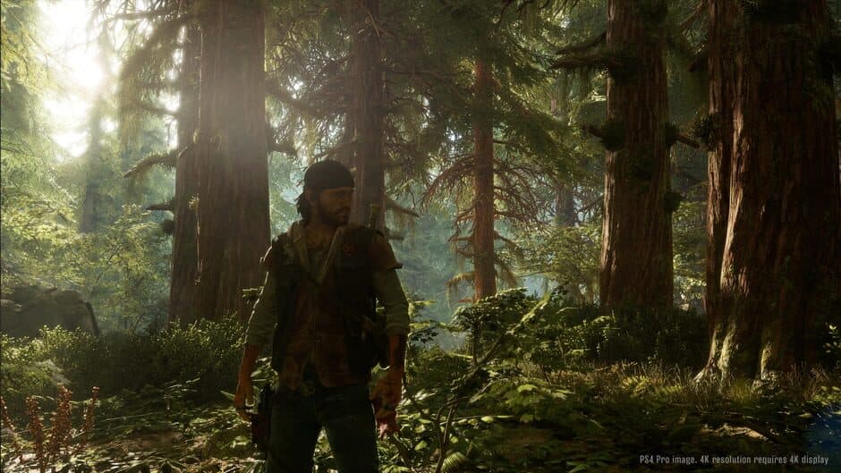 Days Gone - Captura 14