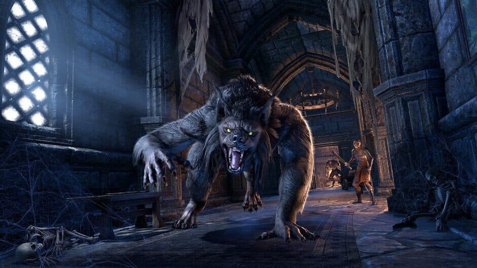 The Elder Scrolls Online - Captura 25
