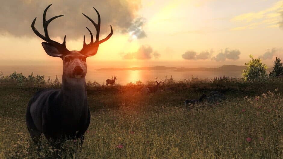 TheHunter Classic - Captura 4