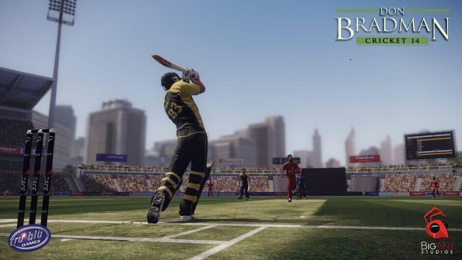 Don Bradman Cricket 14 - Captura 2