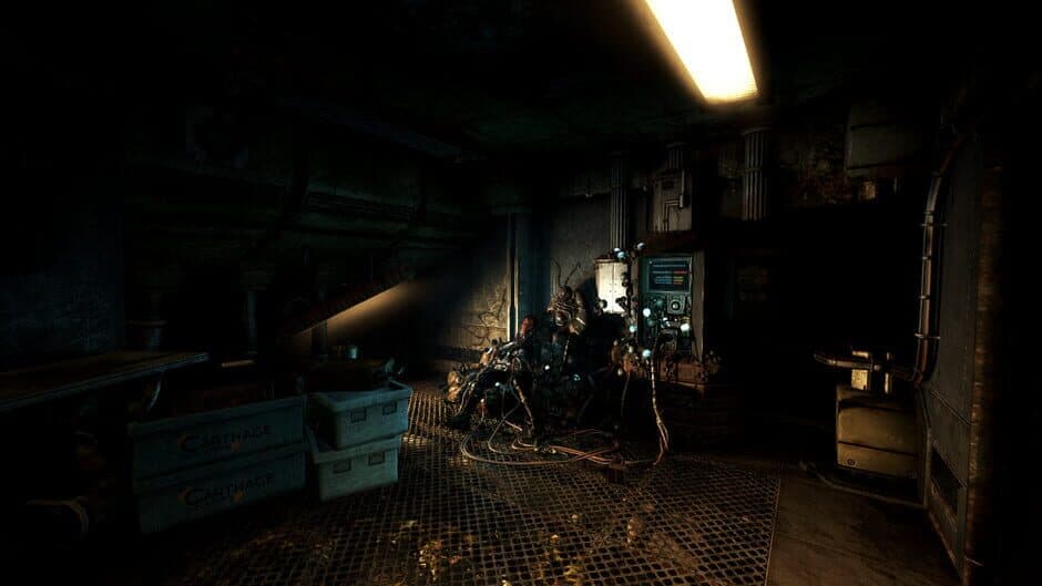 Soma - Captura 10