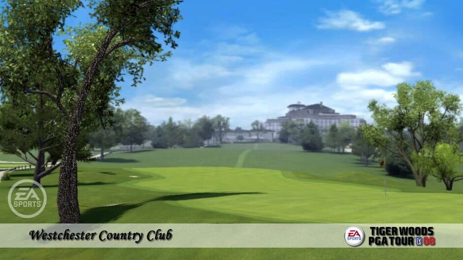 Tiger Woods PGA Tour 08 - Captura 4