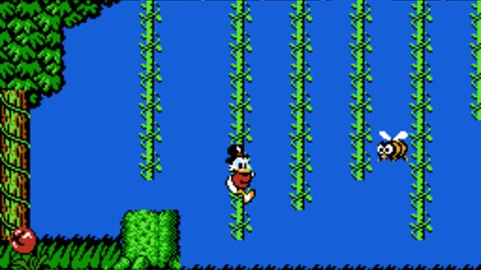 Disney's DuckTales - Captura 6