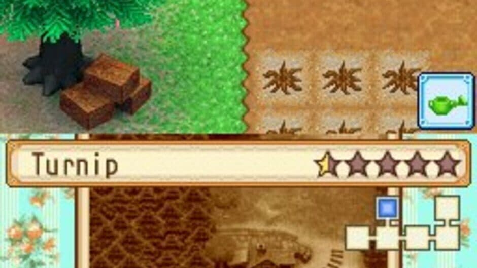 Harvest Moon DS: Grand Bazaar - Captura 6