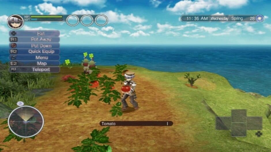 Rune Factory: Tides of Destiny - Captura 2