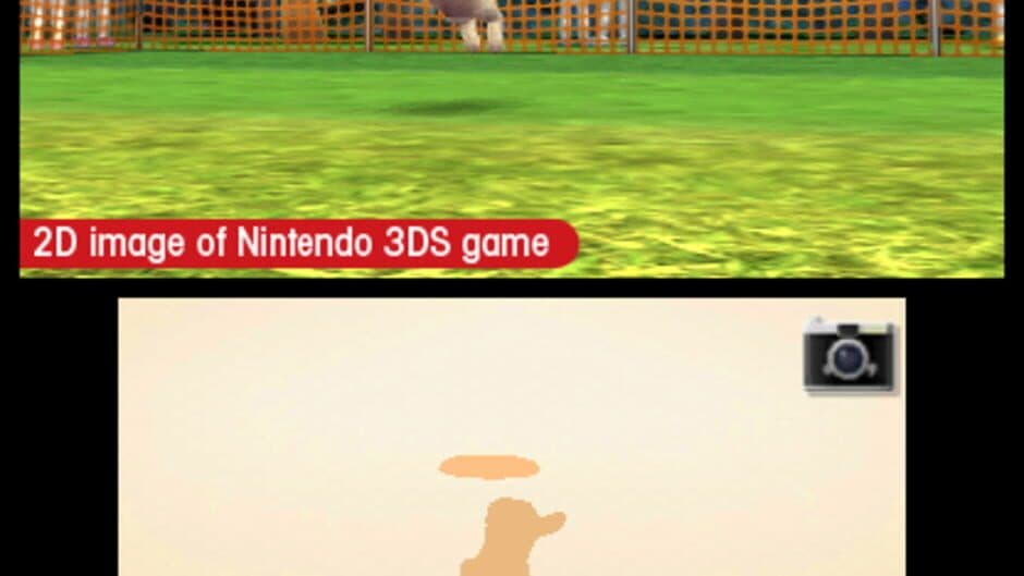 Nintendogs + Cats: French Bulldog & New Friends - Captura 1