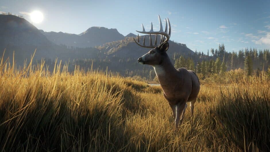 TheHunter: Call of the Wild - Captura 6