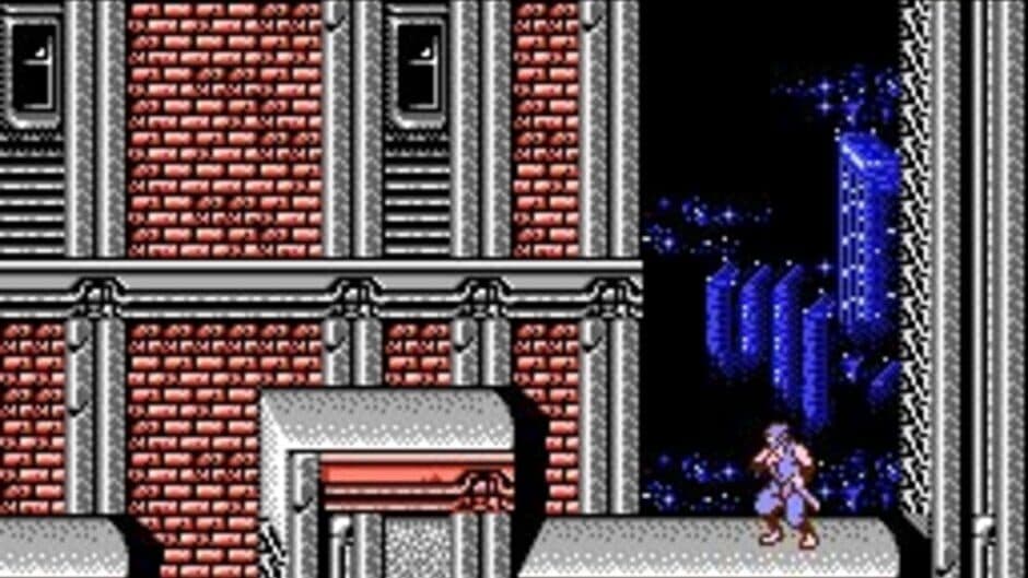 Ninja Gaiden II: The Dark Sword of Chaos - Captura 3