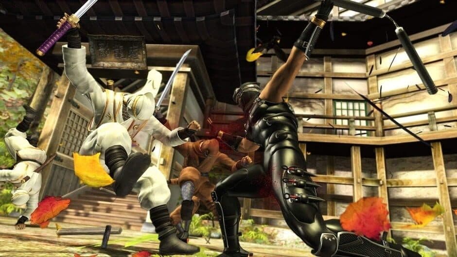 Ninja Gaiden Sigma - Captura 3