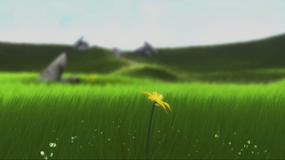 Flower - Captura 5