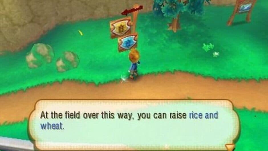Story of Seasons - Captura 4
