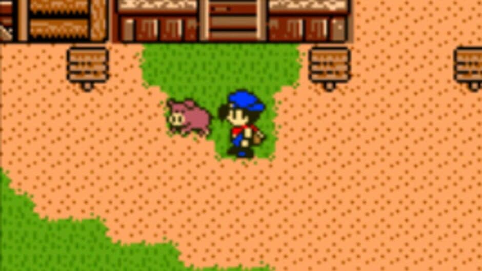 Harvest Moon 3 GBC - Captura 5