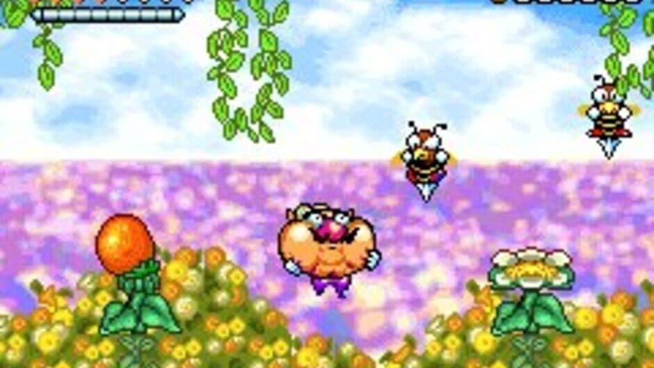 Wario Land 4 - Captura 3
