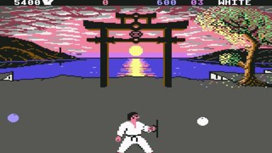 International Karate + - Captura 6