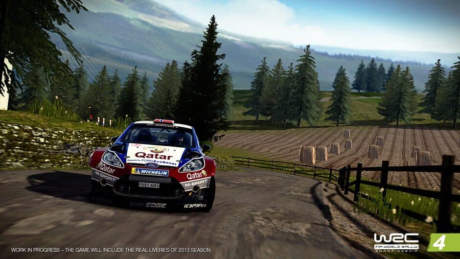 WRC 4 FIA World Rally Championship - Captura 4