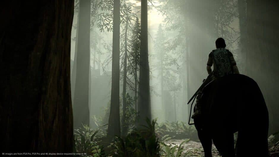 Shadow of the Colossus - Captura 9