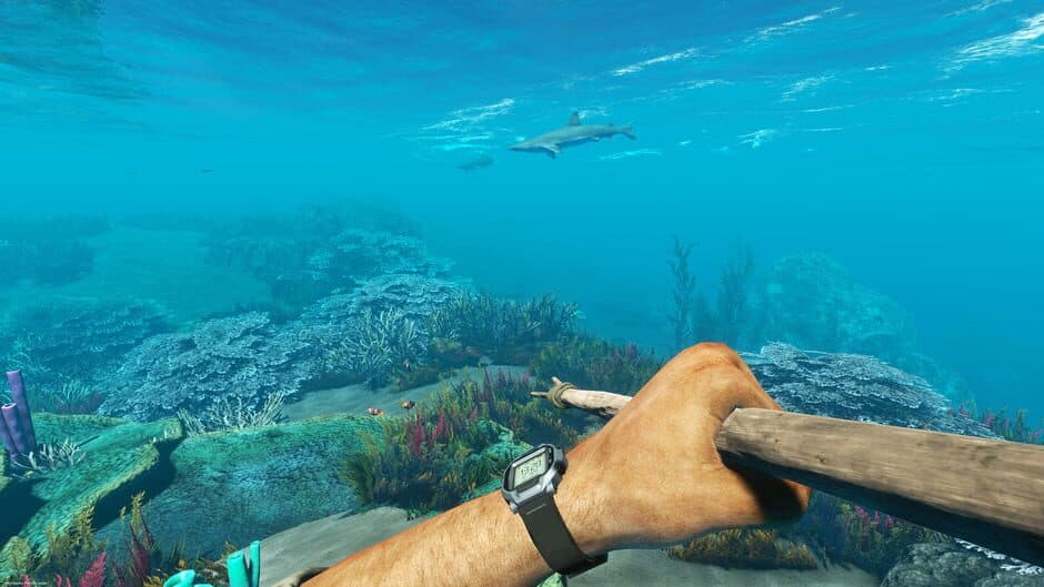 Stranded Deep - Captura 4