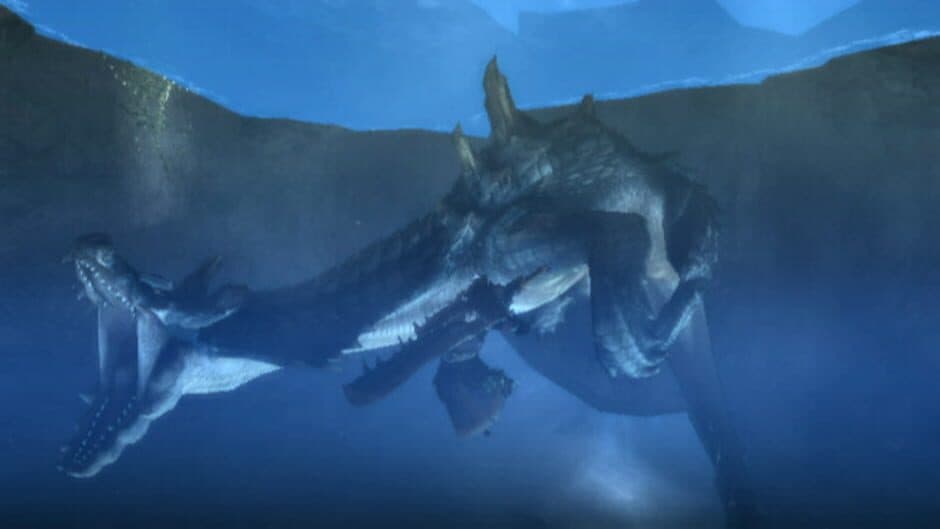 Monster Hunter Tri - Captura 9