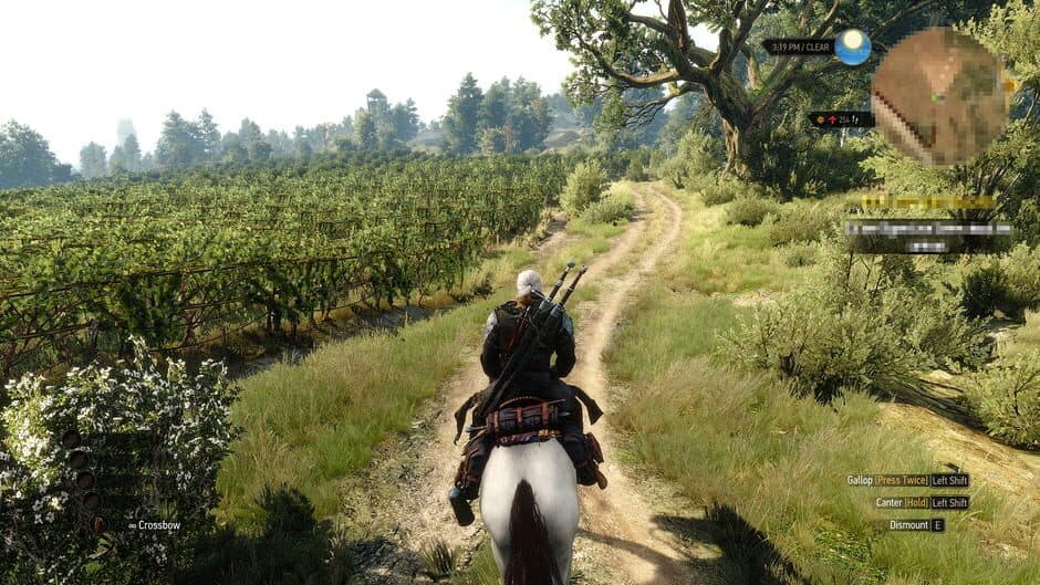 The Witcher 3: Wild Hunt - Hearts of Stone - Captura 6