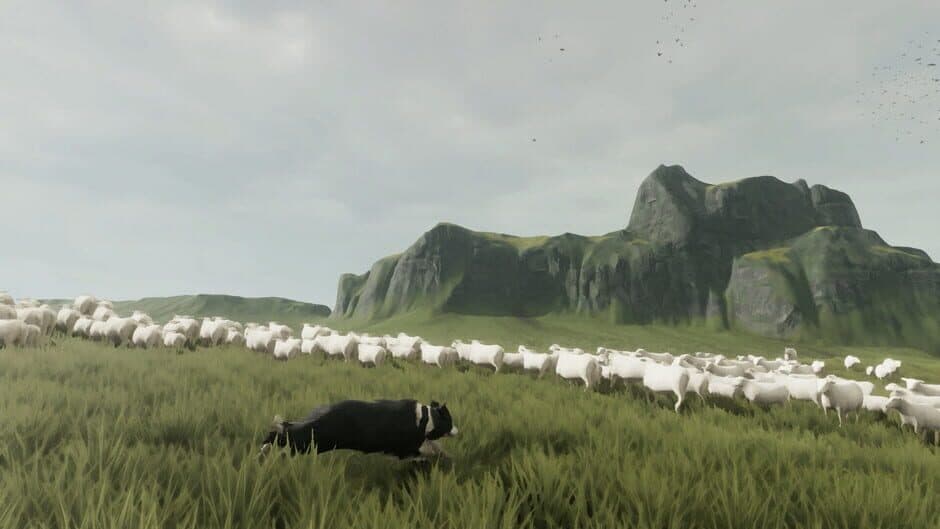 The Free Shepherd - Captura 4
