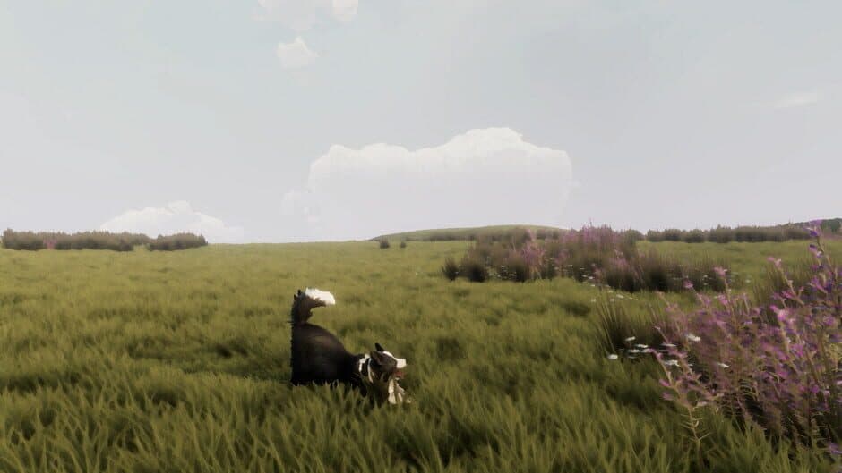The Free Shepherd - Captura 1
