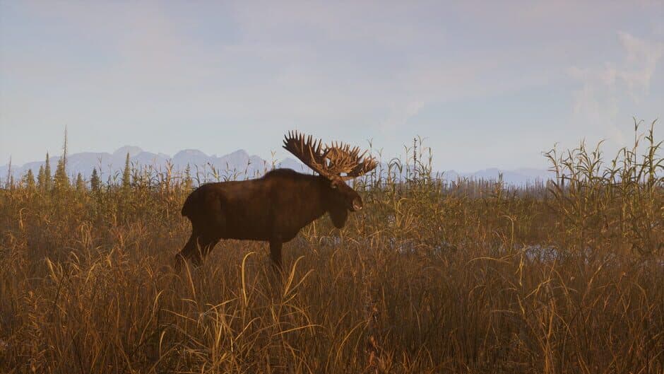 Way of the Hunter 2 - Captura 6