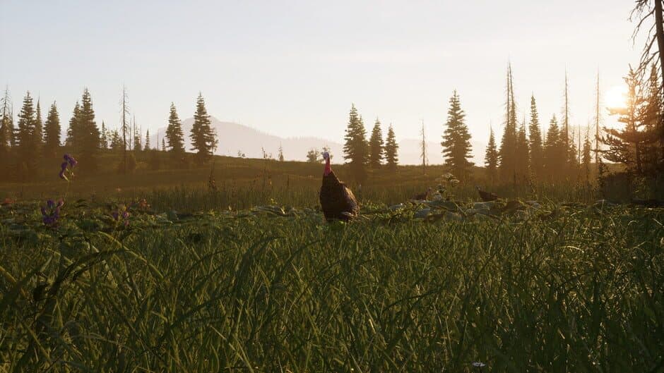Way of the Hunter 2 - Captura 4