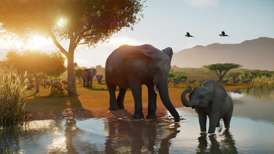 Planet Zoo 2 - Captura 8